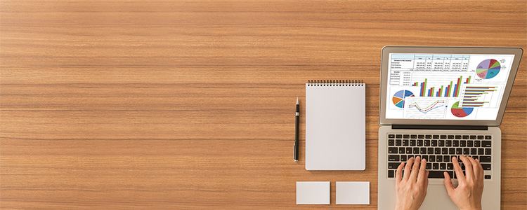 Excel Advanced Skills