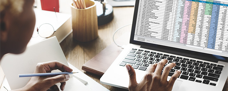 Excel Basics