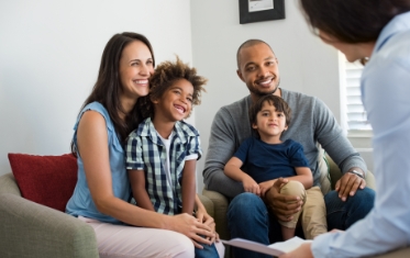 Theories and Techniques in Marriage, Couple, and Family Counseling